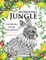 Jungle coloring book