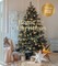 Christmas Home