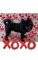 Valentine's all Love xoxo Pomeranian creative blank journal
