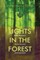 Lights in the Forest