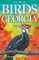Birds of Georgia
