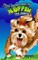 True Adventures of Muffin the Yorkie