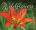 Wildflowers