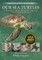 Our Sea Turtles