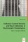 Collector Current Density and Dust Collection in Electrostatic Precipitators