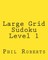 Large Grid Sudoku Level 1
