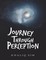 Journey Through Perception