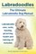 Labradoodles. the Ultimate Labradoodle Dog Manual. Labradoodle Care, Costs, Feeding, Grooming, Health and Training All Included.
