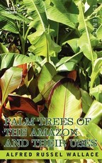 Palm Trees of the Amazon and Their Uses Palm Trees of the Amazon and Their Uses