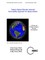 Today's Space Elevator Assured Survivability Approach for Space Debris
