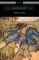 Gulliver's Travels (Illustrated by Milo Winter with an Introduction by George R. Dennis)