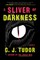 A Sliver of Darkness