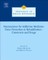 Neuroscience for Addiction Medicine: From Prevention to Rehabilitation - Constructs and Drugs