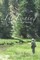 Fly Fishing in Northern New Mexico