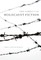 The Subject of Holocaust Fiction