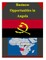 Business Opportunities in Angola