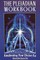 The Pleiadian Workbook