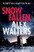 Snow Fallen