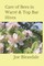 Care of Bees in WarrÃ© & Top Bar Hives