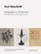 Blossfeldt, K: Photographie im Licht der Kunst / Photography