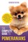 The Complete Guide to Pomeranians
