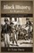 Black History for Beginners