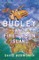 Bugley and the Fire Demon Island