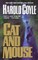 Cat and Mouse