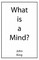 What is a Mind?