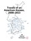 Travels of an American-Korean, 2008?2013