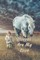 Horses are My Love