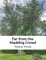 Far from the Madding Crowd