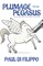 Plumage From Pegasus