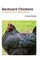 Backyard Chickens
