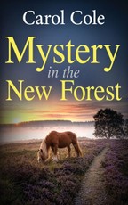 Mystery in the New Forest