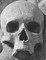 Gothic Skull Sheet Music Paper