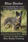 Blue Heeler Training Book for Blue Heeler Dogs and Blue Heeler Puppies By D!G THIS Dog Training