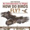 How Do Birds Fly? An Introduction to Flight - Science Book Age 7 Children's Science & Nature Books