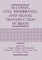 Alcohol, Cell Membranes, and Signal Transduction in Brain