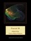 Fractal 38