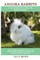Angora Rabbits