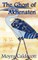 The Ghost of Akhenaten
