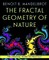 The Fractal Geometry of Nature