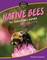 Native Bees