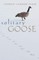 Solitary Goose