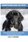 Newfoundland as Pets