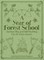 A Year of Forest School