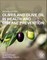 Olives and Olive Oil in Health and Disease Prevention