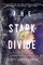 The Stark Divide