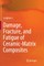Damage, Fracture, and Fatigue of Ceramic-Matrix Composites